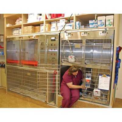 Stainless Steel Regal Intensive Care Unit
