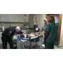 Dynax Stretcher & Gurney