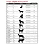 Arrangements de Cages Regal - 365,76 cm de Large, 14 Cages