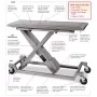 Regal Vet-Mate Gurney Lift Table - VETMAX®