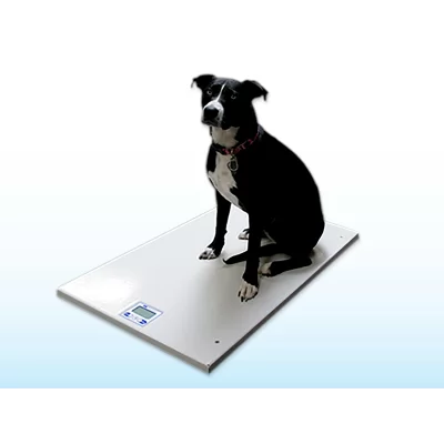 Mobile Platform Animal Scale