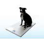 Bilancia per Animali a Piattaforma Mobile