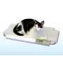 SRV930 Table Top Small Animal Scale - VETMAX®