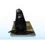 SRV713W Large Marine Animal Floor Scale