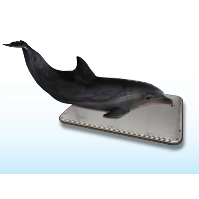 SRV716W Marine Animal Floor Scale