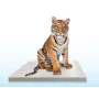 Échelle de Plate-Forme Mobile Zoologique SRV740W (0,76 m x 1,02 m)