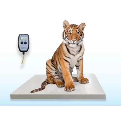 SRV711B Zoological Platform Scale - VETMAX®