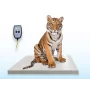 SRV711B Zoological Platform Scale