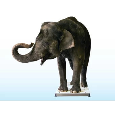 SRV714 Mobile Plattformwaage für Große Tiere