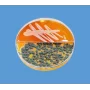 Color-Spot - DTM (Dermatophyte Test Media)