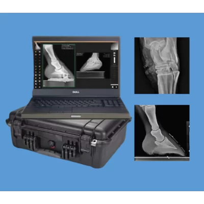 DR Cesium Imaging for Equine