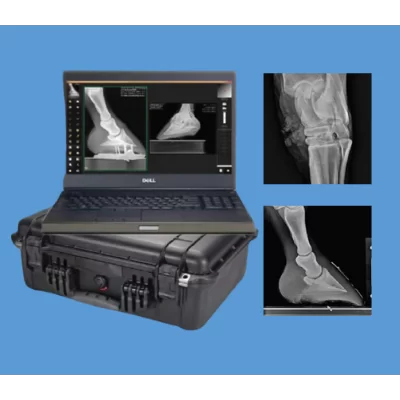 DR Cesium Imaging for Equine - VETMAX®