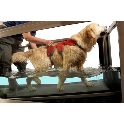 Neptune Canine Hydrotherapy Treadmill